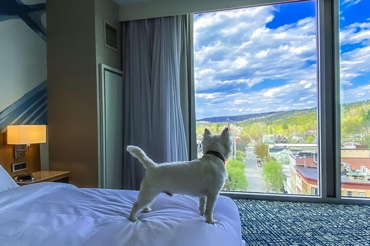 Ithaca Marriott Downtown On The Commons Hotel Luaran gambar